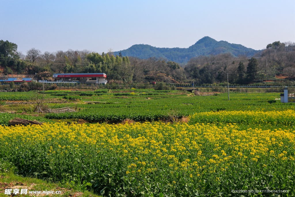 新安江山水画廊