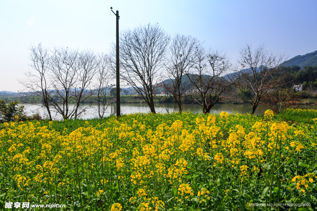 新安江山水画廊