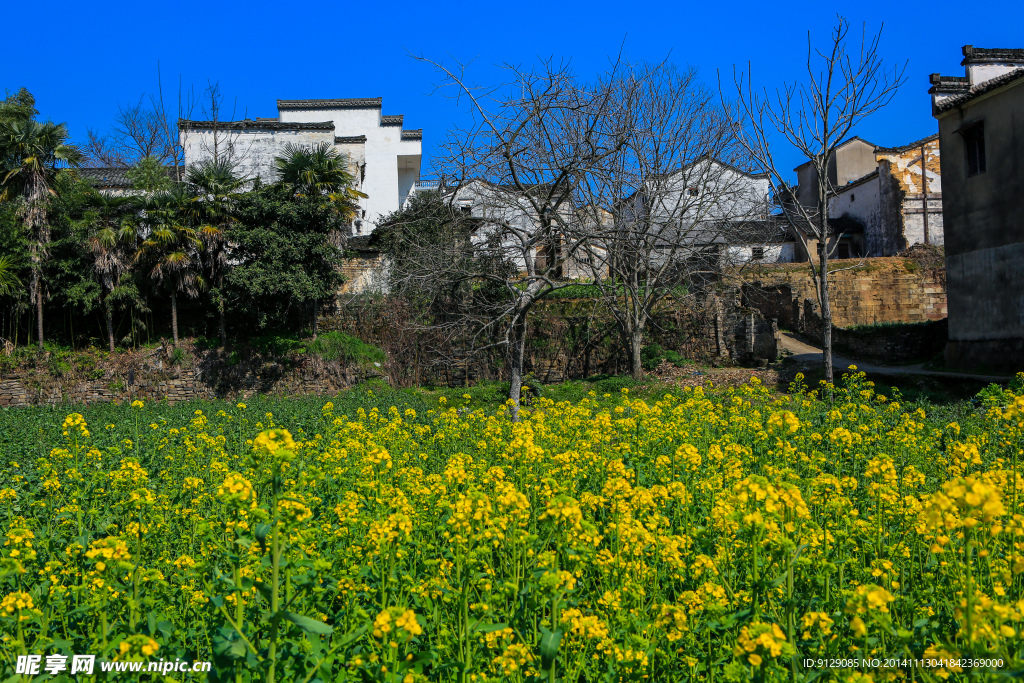 新安江山水画廊