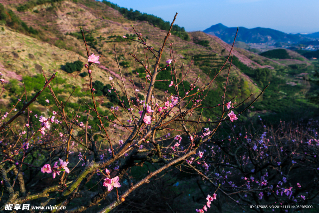 源东桃花坞