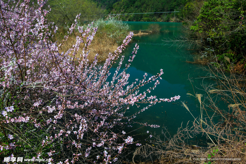 源东桃花坞