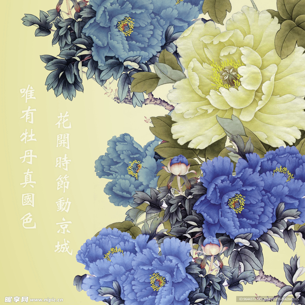 牡丹花