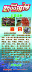 海鲜新品推荐