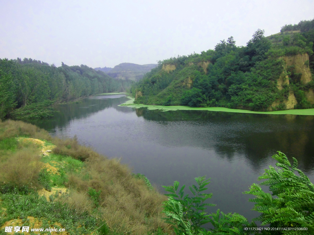 青山绿水