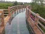 透明桥
