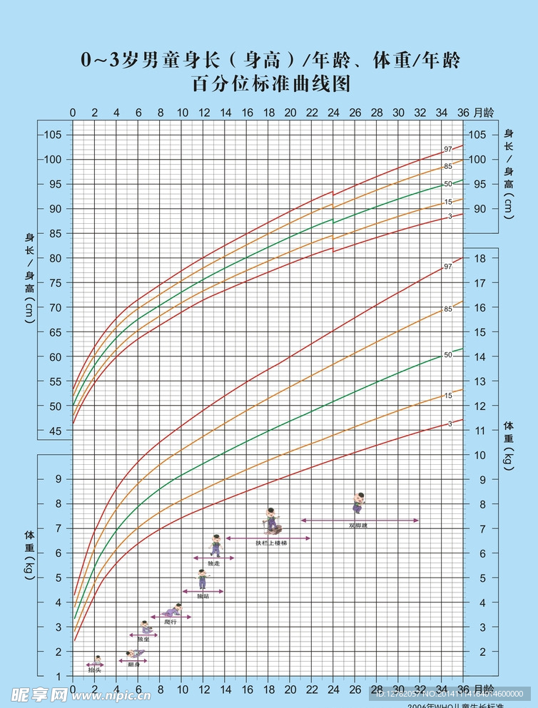 2006年WHO儿童生长标