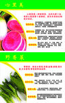 蔬菜介绍