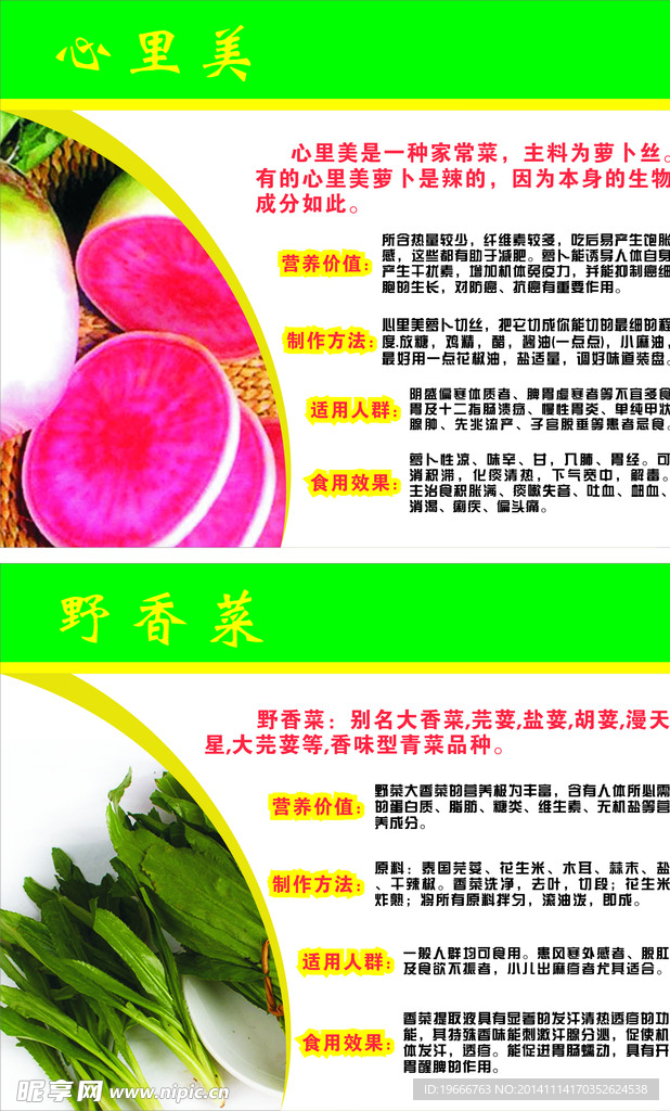 蔬菜介绍