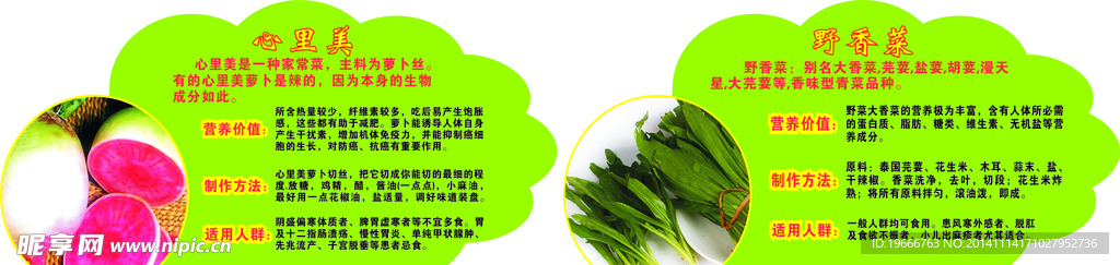 蔬菜介绍