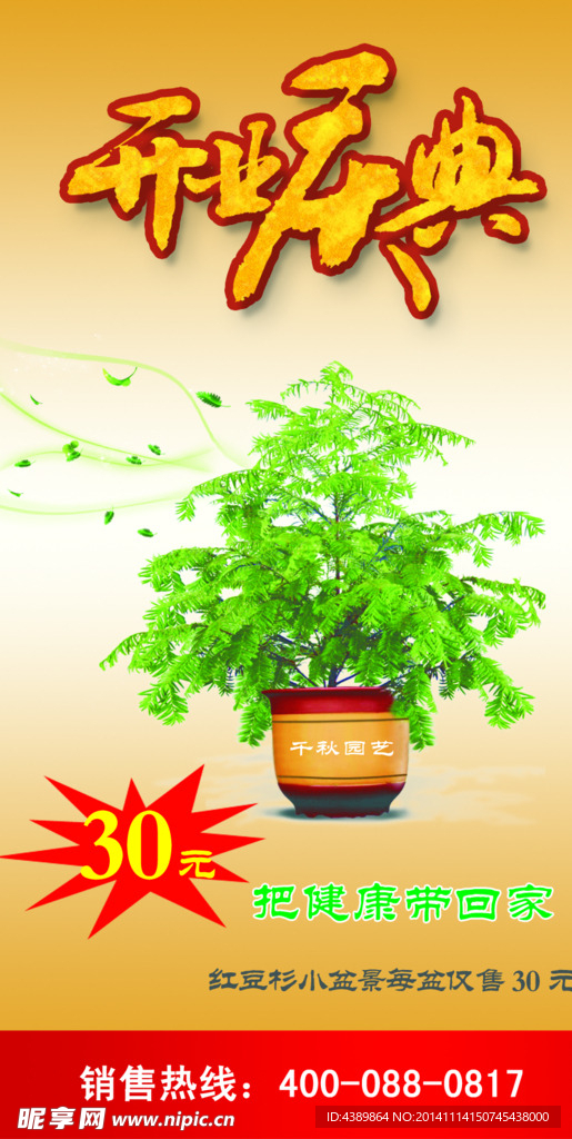 红豆杉海报