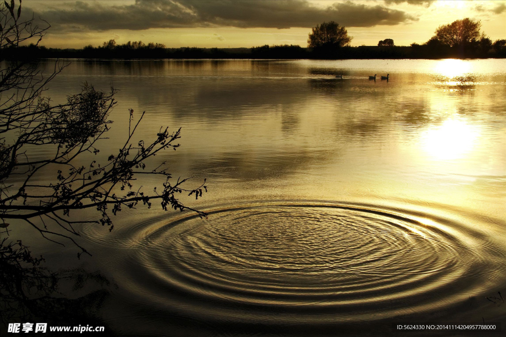 水纹 湖畔