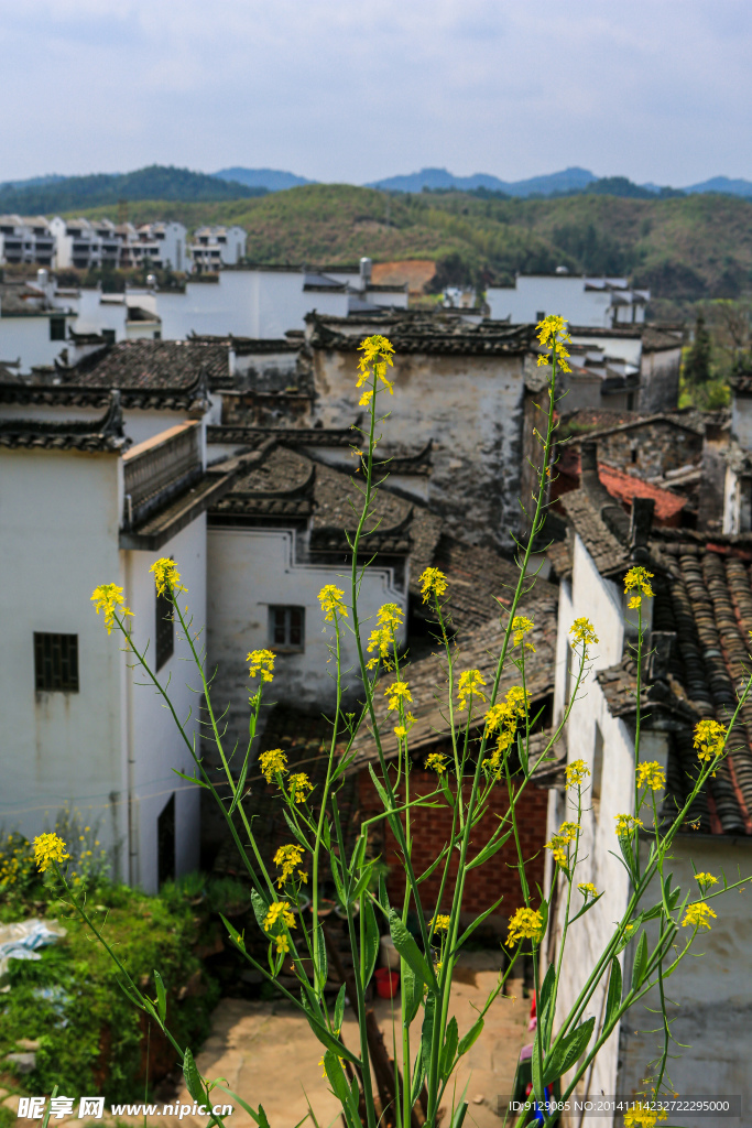 婺源 长滩古村