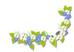 花边边框