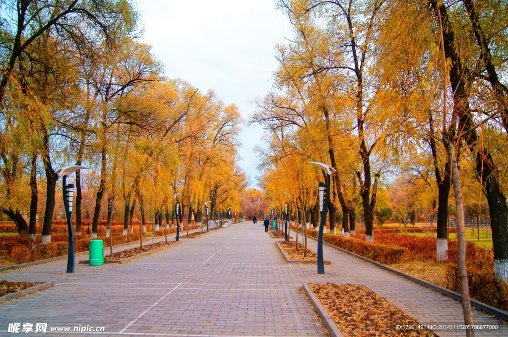 奥林匹克公园秋景