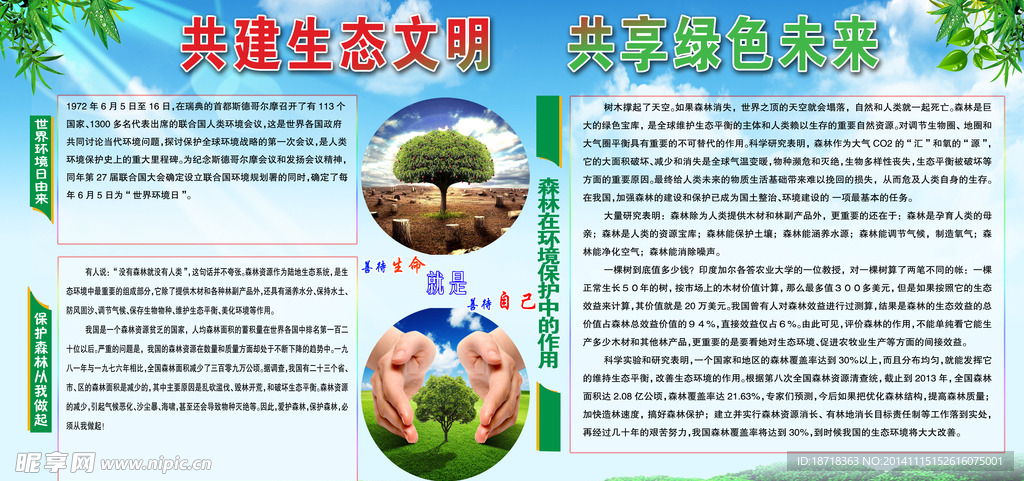 板报