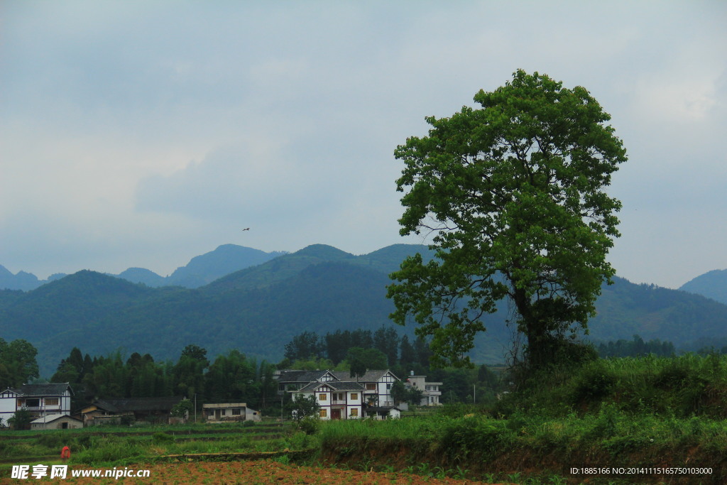 湄潭县新农村