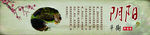 阴阳养生