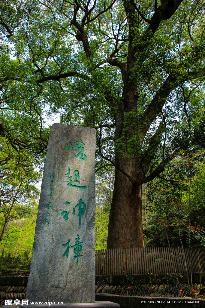 婺源 晓起村