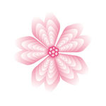 粉红小花