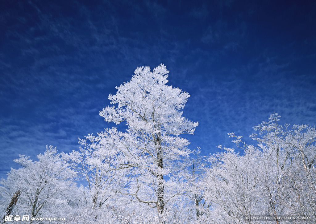 唯美雪景