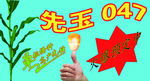 先玉047单孔透车贴