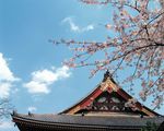 日本风光