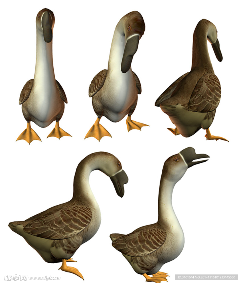 鹅素材