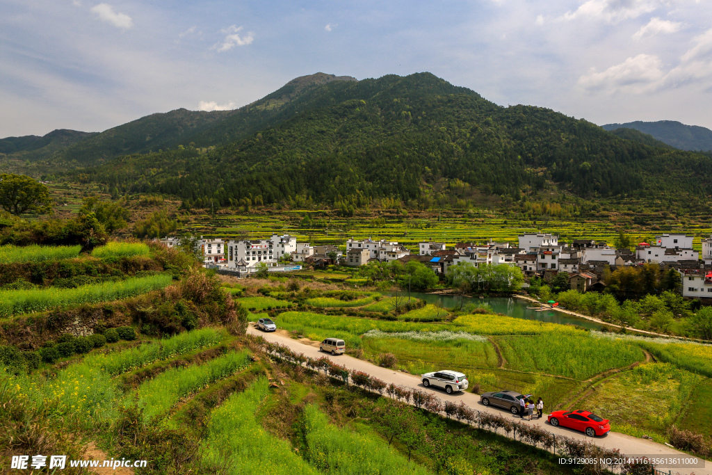 江岭梯田油菜花