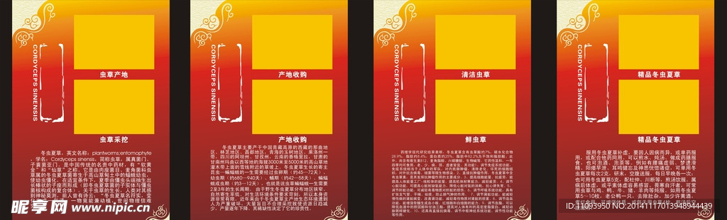 冬虫夏草