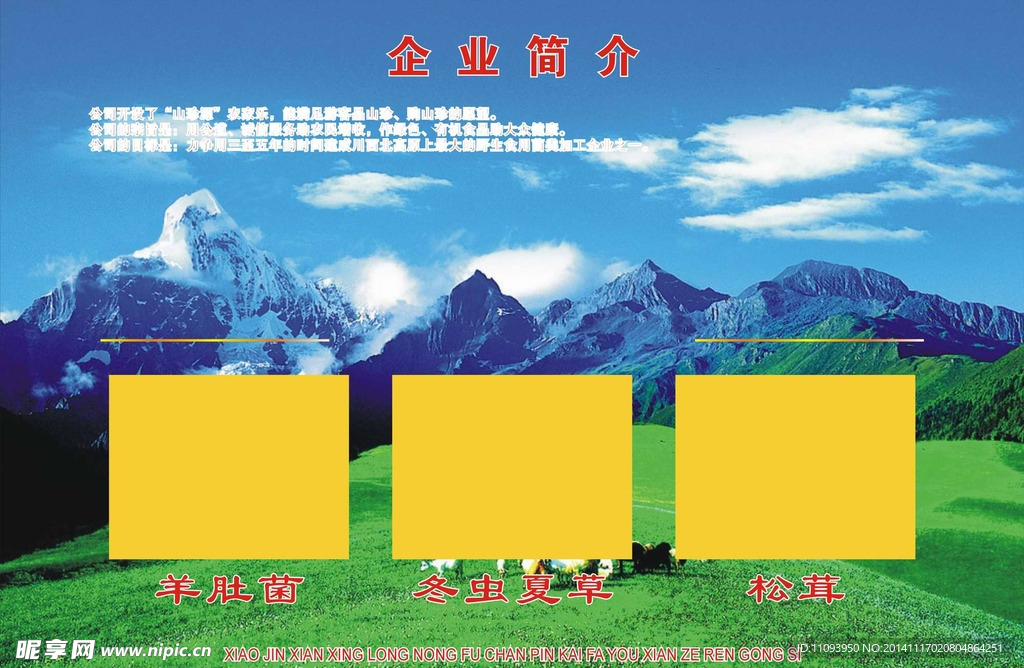 企业简介