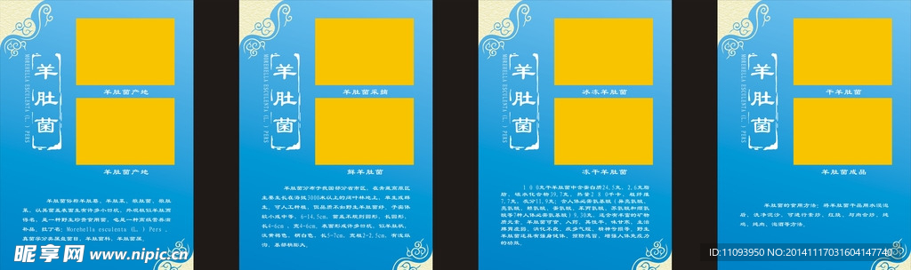 羊肚菌