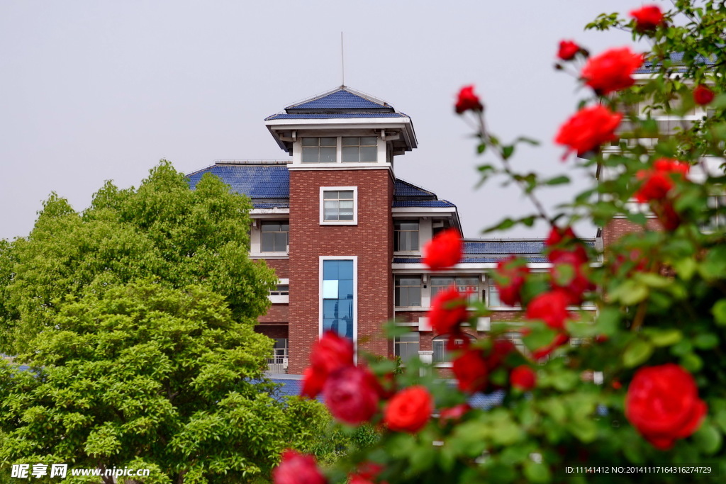 枣庄实验学校