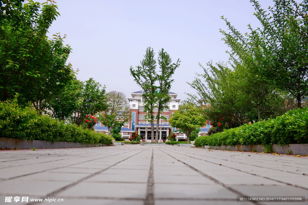 枣庄实验学校