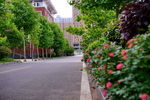 枣庄实验学校