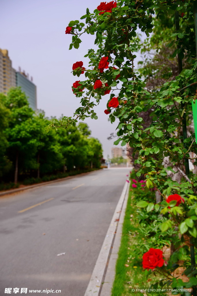 枣庄实验学校