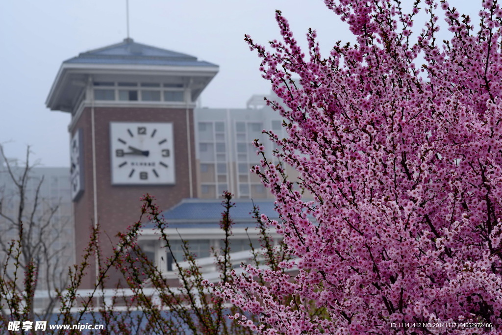 枣庄实验学校