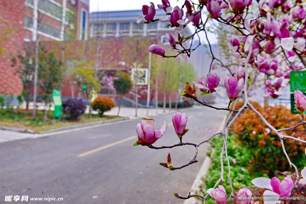 枣庄实验学校