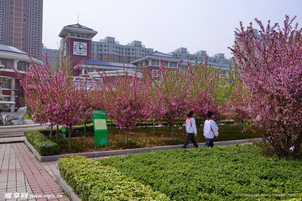 枣庄实验学校