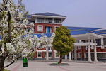 枣庄实验学校