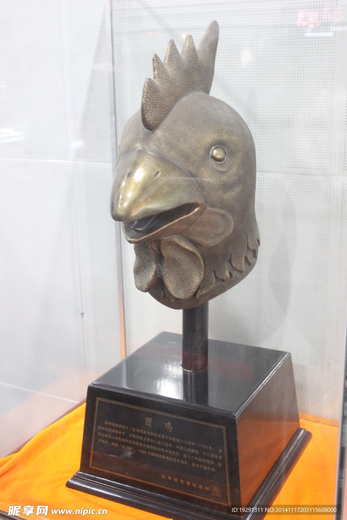 鸡首
