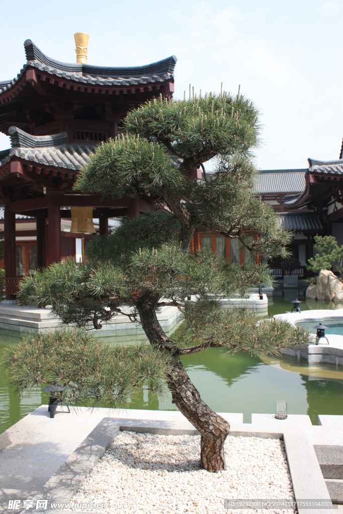 庭院