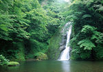 高山流水