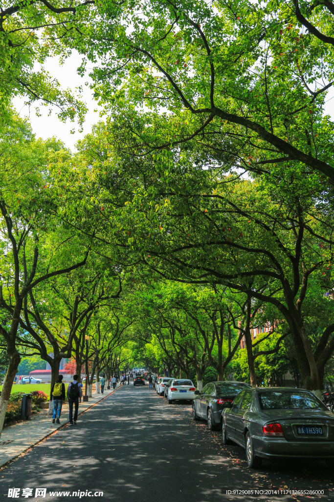 浙江大学