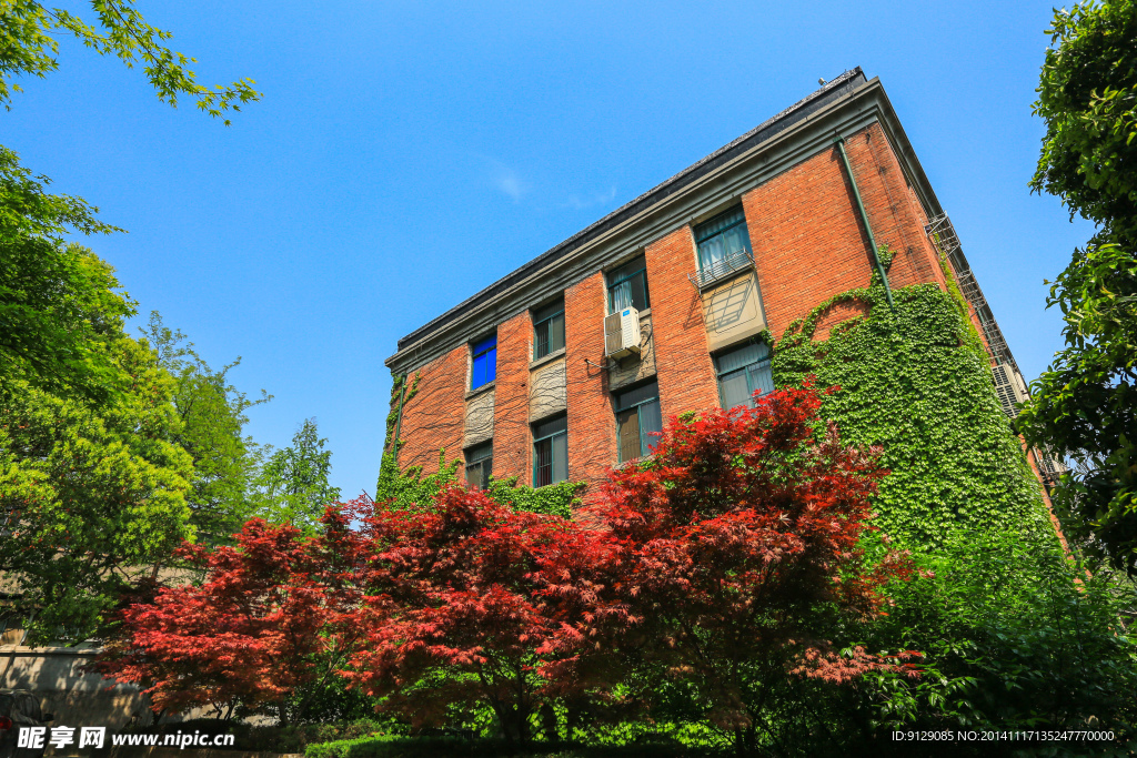 浙江大学