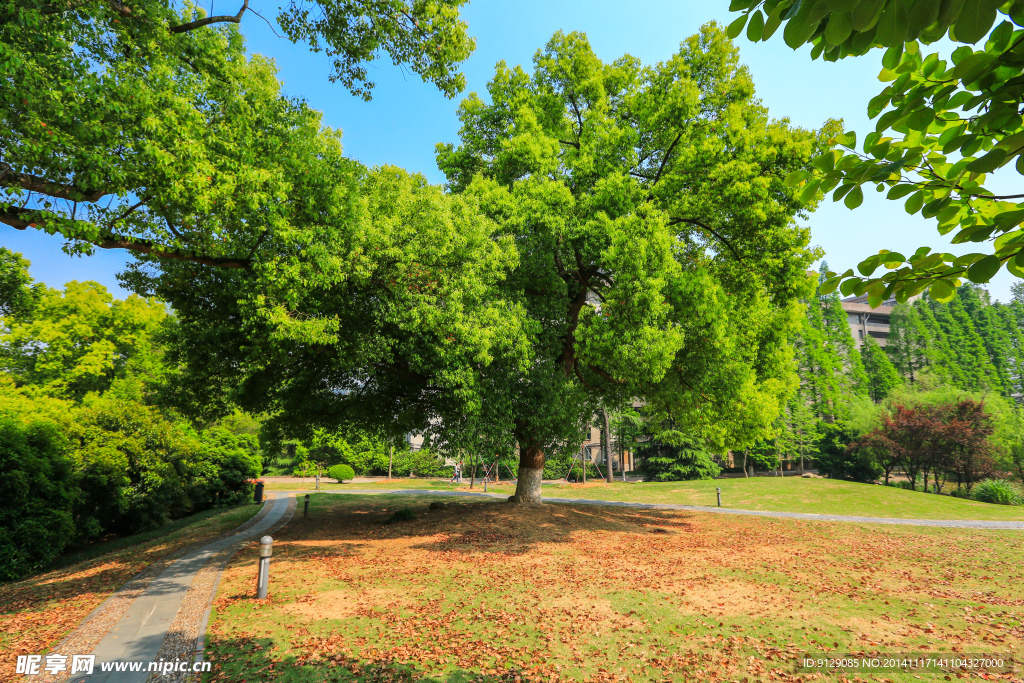 浙江大学