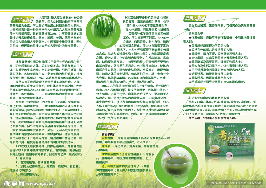 大麦若叶高档三折页