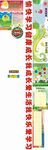 四年级2班班级文化展
