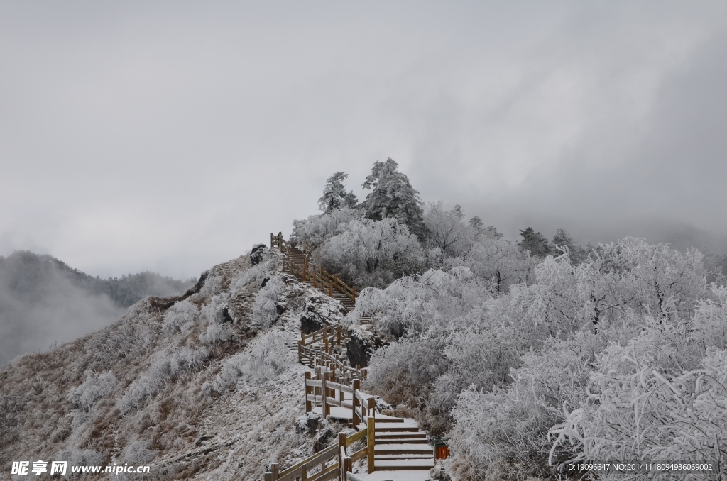 雪景
