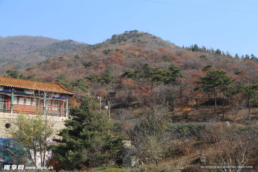 山坡