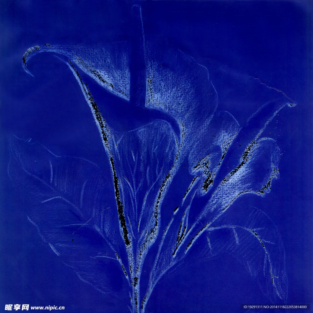 花卉油画
